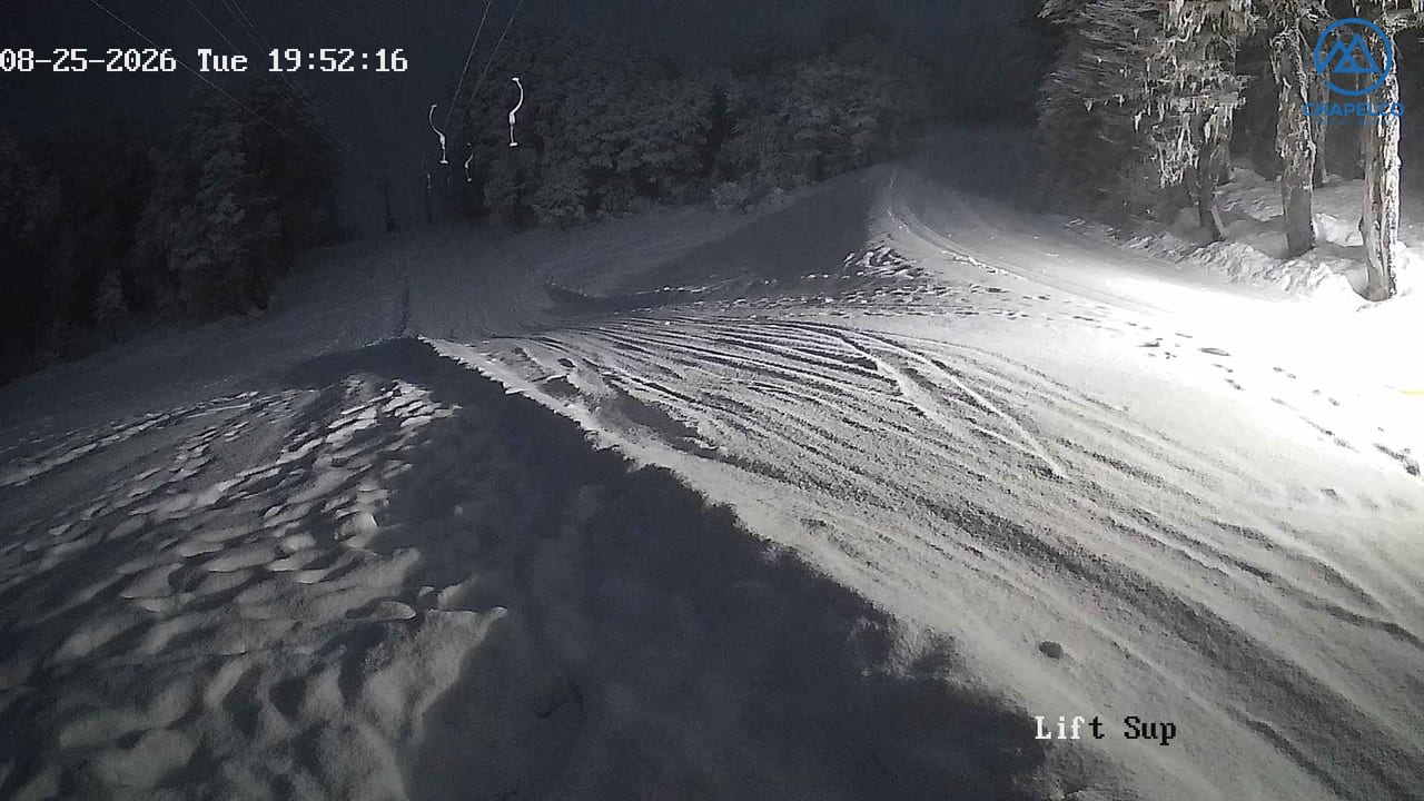 Cam 17
