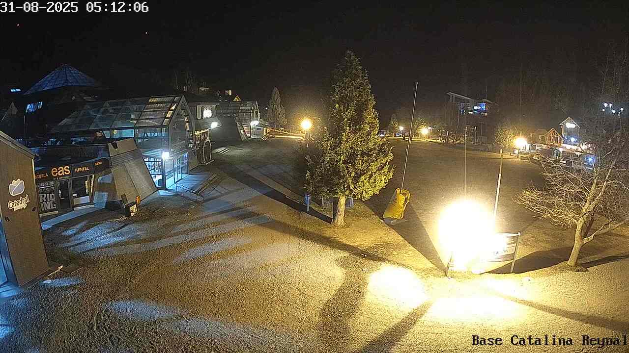 Cam 3