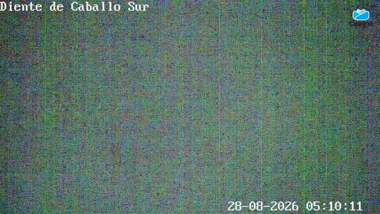 Camera 7